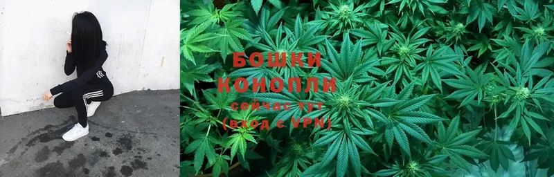 Бошки Шишки SATIVA & INDICA  Белоусово 